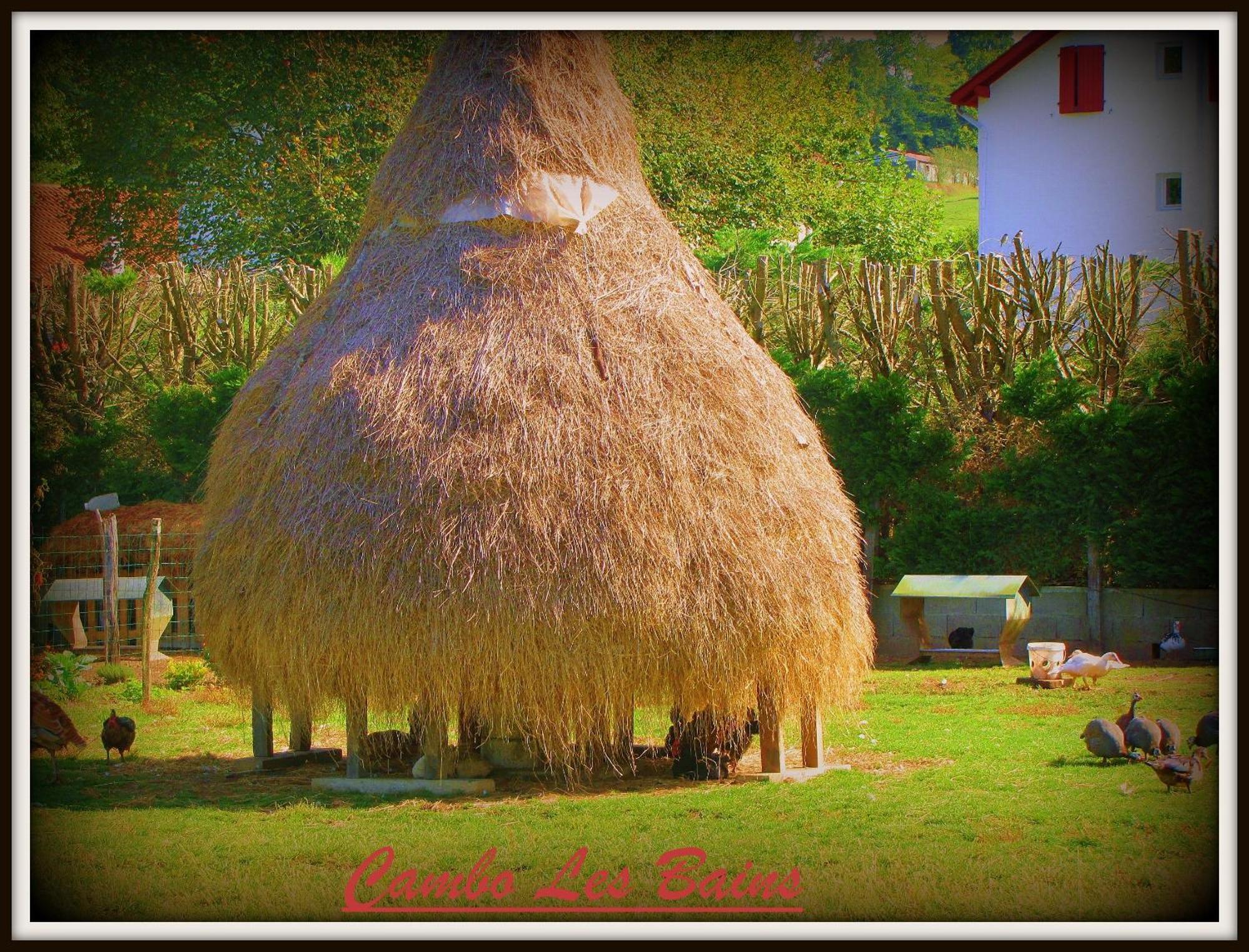 Hotel Ursula Cambo-les-Bains Exteriör bild